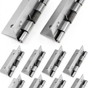 Stainless Steel Spring Hinge QWORK 304 2" Self Opening Pack of 10-0