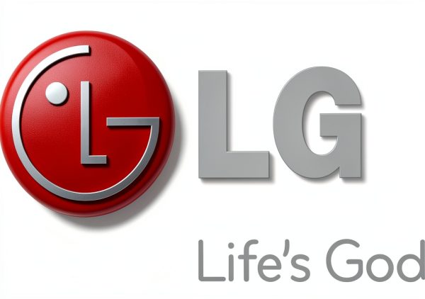 LG Electronics Washing Machine Hinge Spring 4970FR2084P Face-Mount-1